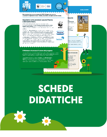 Schede didattiche"